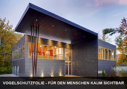 Vogelfolie-Animation-deu